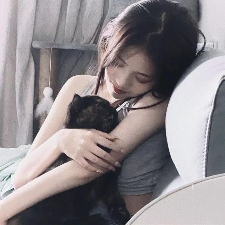 法兰西特派周报