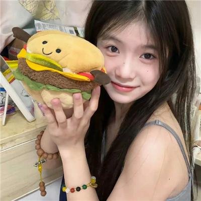 凤皇传